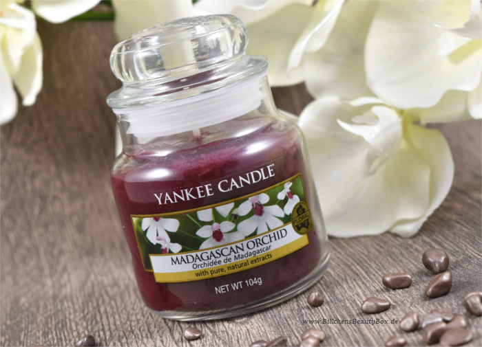 [Living] Yankee Candle Out of Africa Herbstkollektion