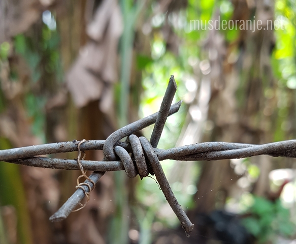 20 Trik Fotografi Keren Dengan Kamera Handphone Musdeoranje Net
