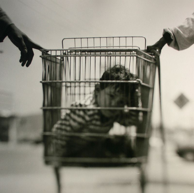 Pdf Irrigation In D T Potts Ed A Companion To The