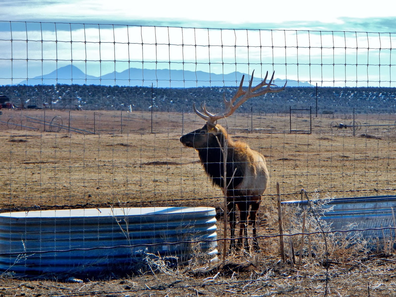 The Southwest Through Wide Brown Eyes: Blanding's Ruined Ruins.