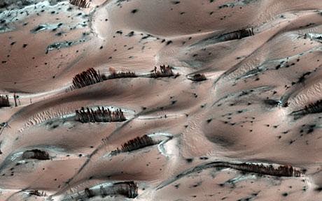 Copaci pe Marte ? Nu, e doar o iluzie optica
