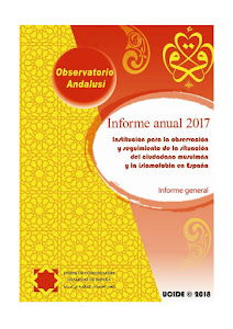 Informe anual de 2017