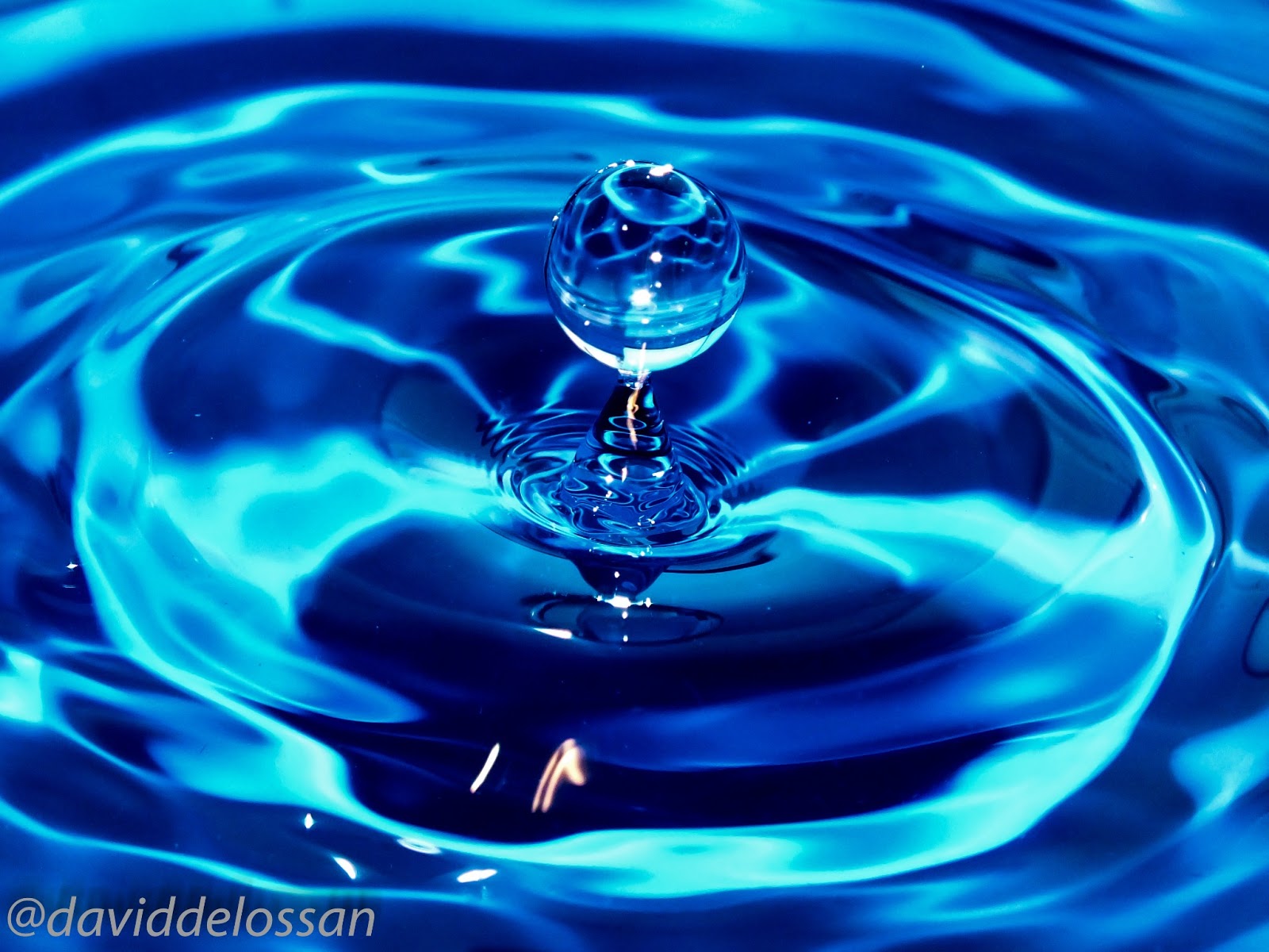 Fotografía de un aficionado: marzo 2013