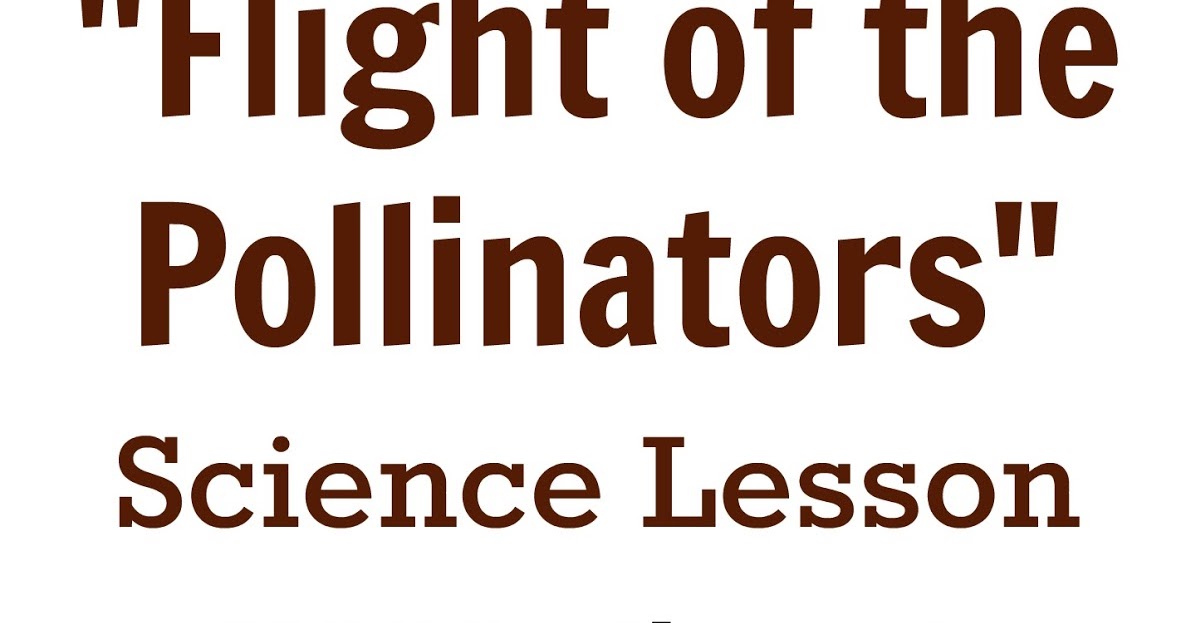 Share it! Science "Flight of the Pollinators" a PicturePerfect