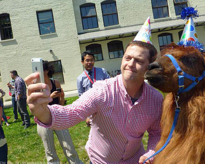 Lustige Geburtstagsbilder mit Tieren - Mann macht mit Lama Selfie