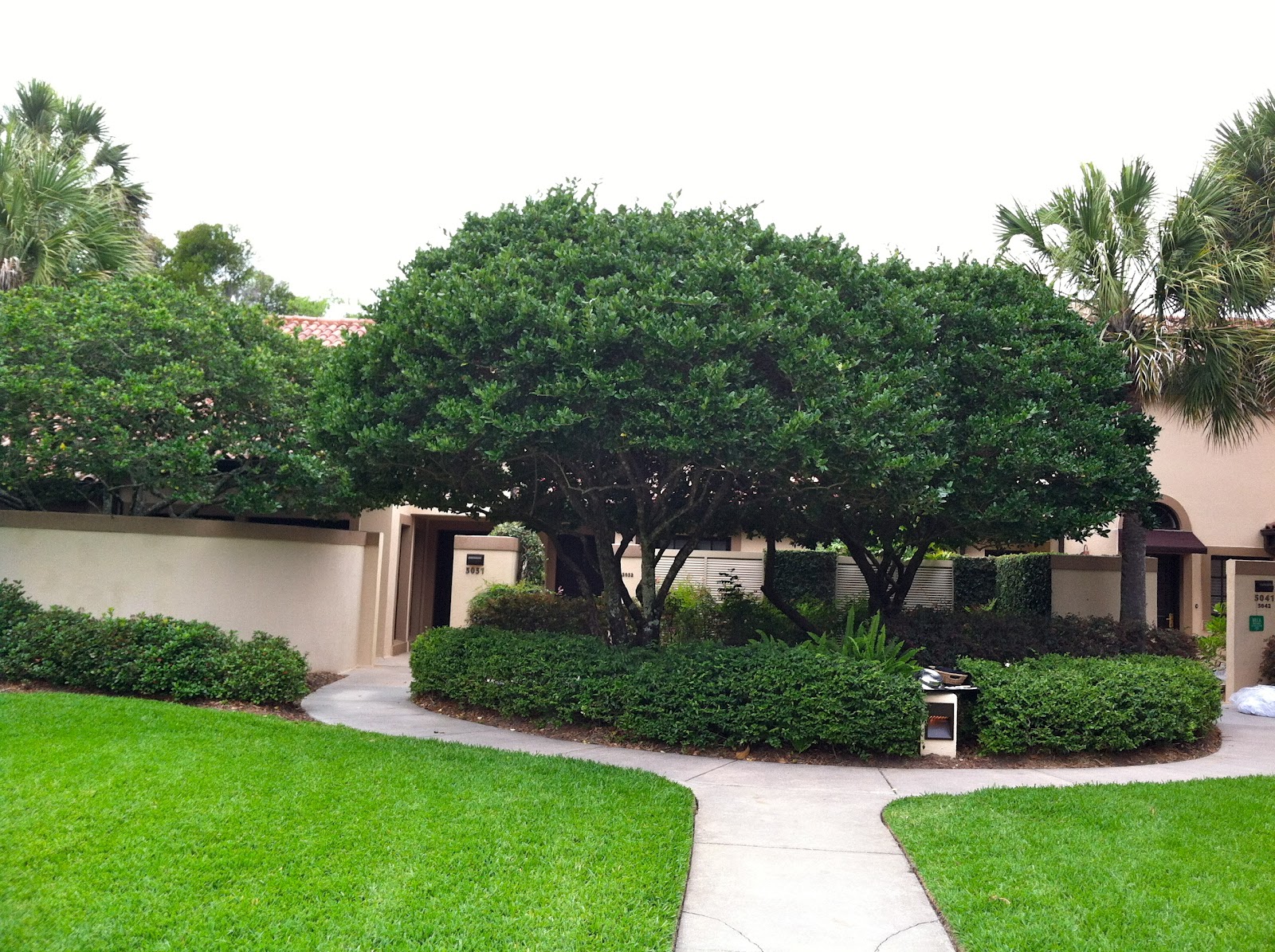 The Villas at Grand Cypress Resort The World of Deej