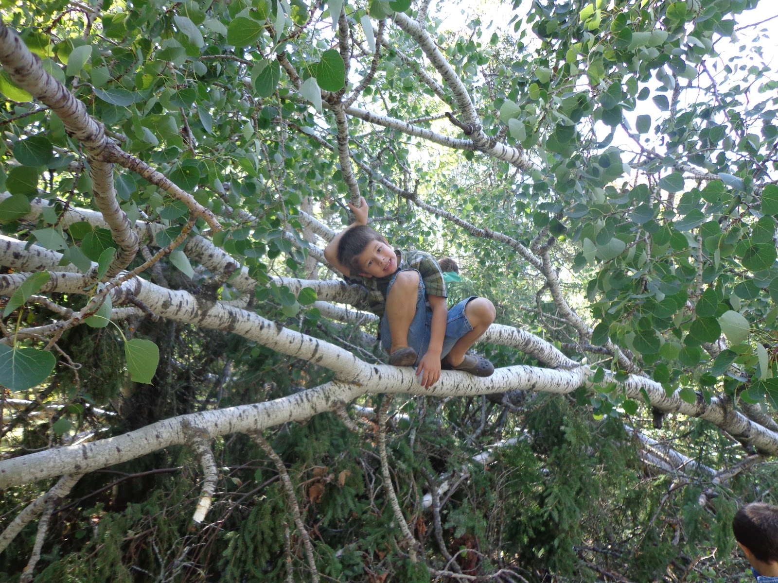 Proverbs 31 Living The making of forts and cousins who love the woods