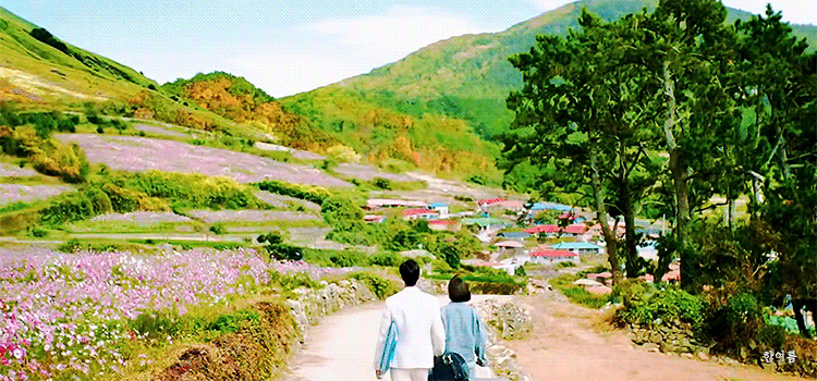 theqoo inserted image