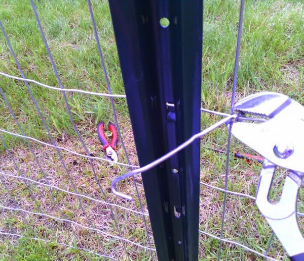 Speechless Workin Stiff Installing TPost Clips on Garden Fence