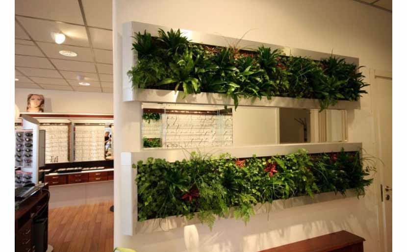 Stylist room dividers with nature theme partition Interior Design Ideas