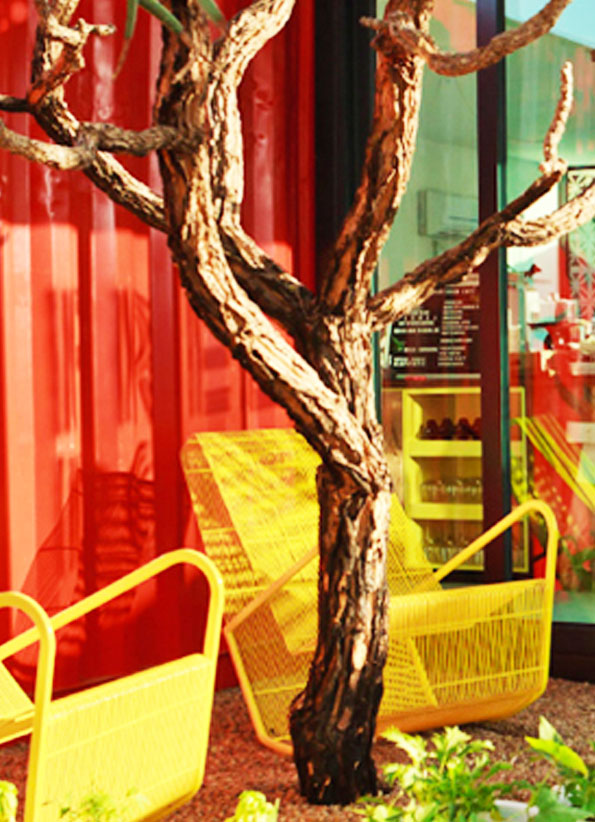 Miss Buttons Freedom Cafe...