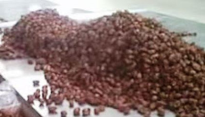 kurma sumber energi, kurma kaya serat