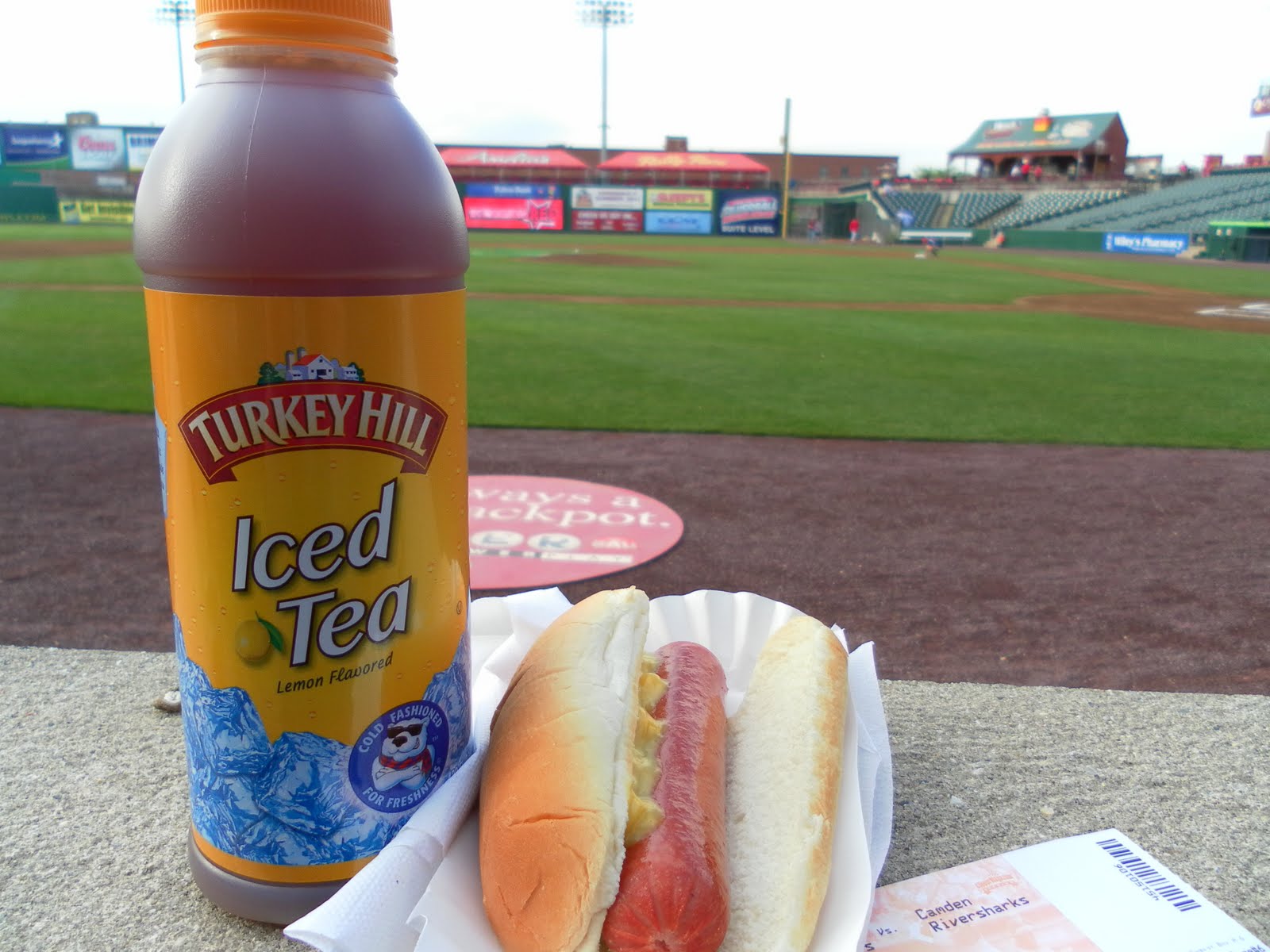 Shark Bytes A Camden RiverSharks Blog How The Other 3 4 Lives Part 