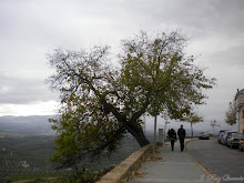 Valle del Guadalquivir