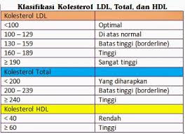 Manfaat Gula Aren Untuk Kesehatan Yang Harus Diketahui