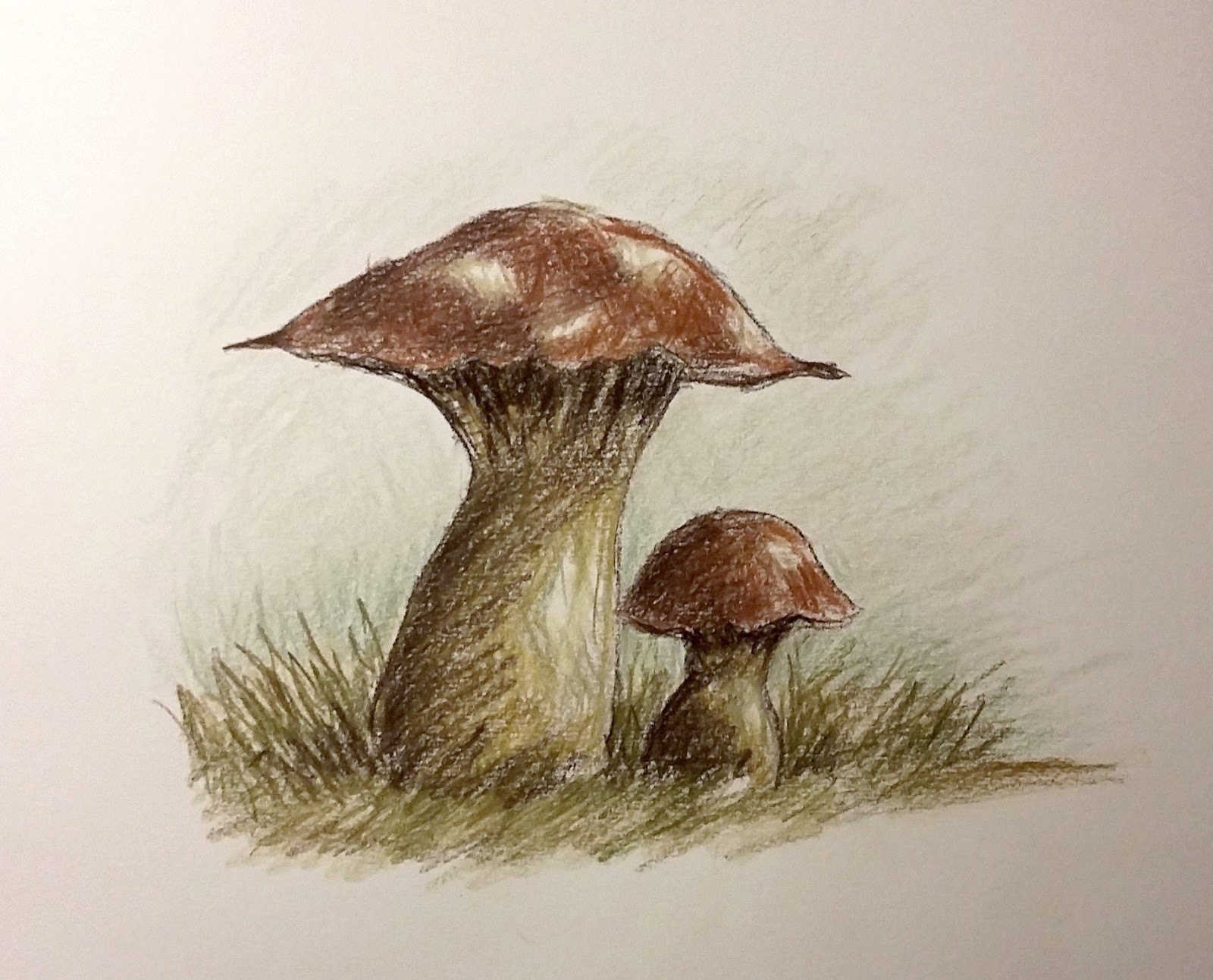 Diverso ¨ l effetto finale di queste matite su una carta liscia dove i colori risultano pi¹ intensi senza lasciare spazi bianchi