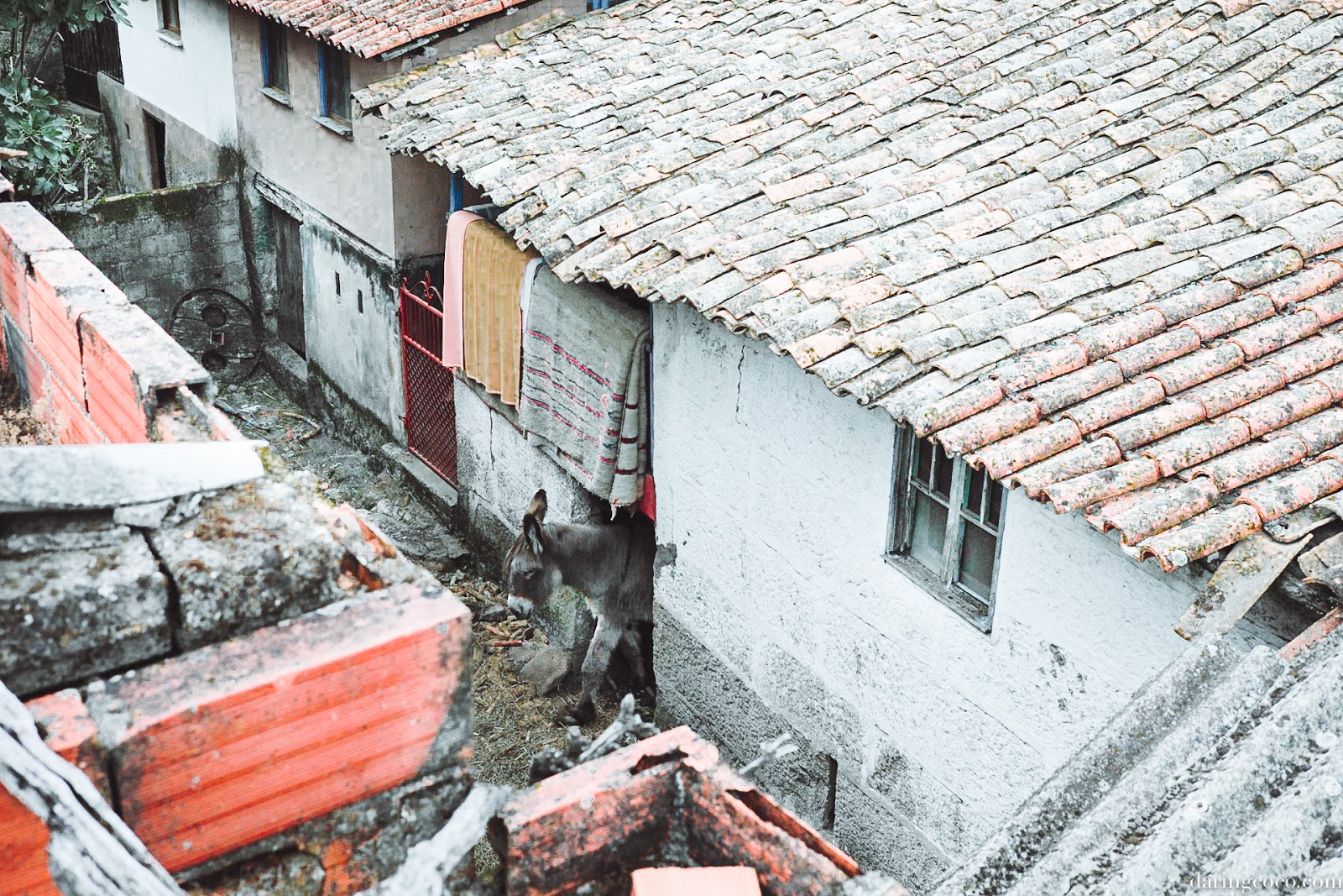 wayfaring with coco // northern portugal northern portugal