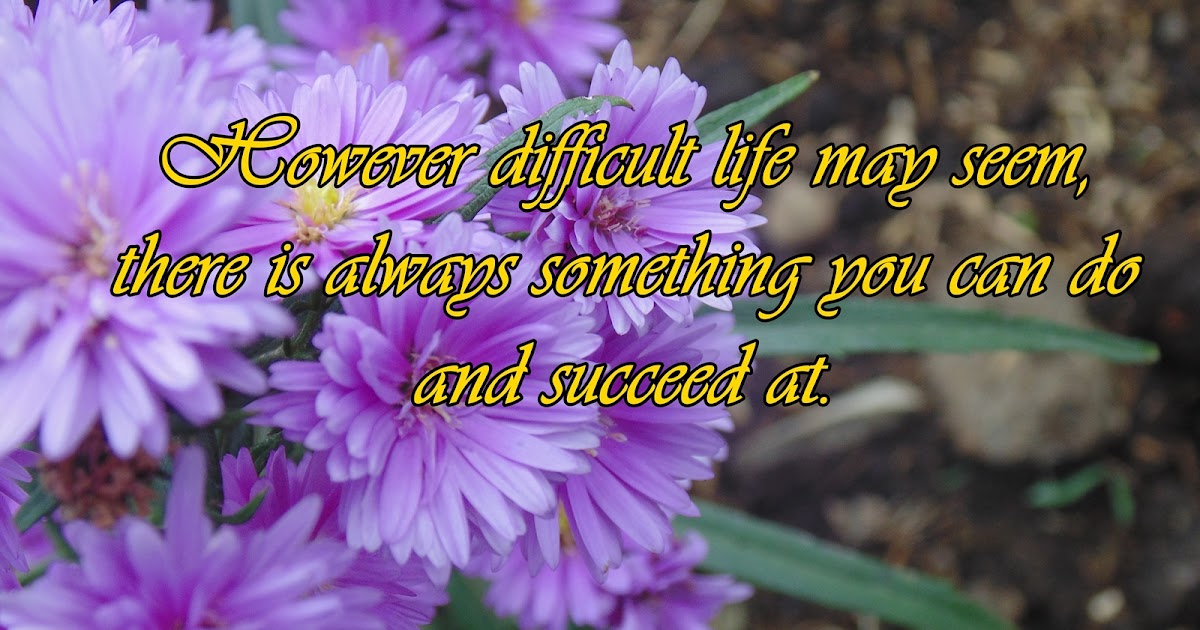 Pindah Rumah Mei Wulandari Miss Mei S Class