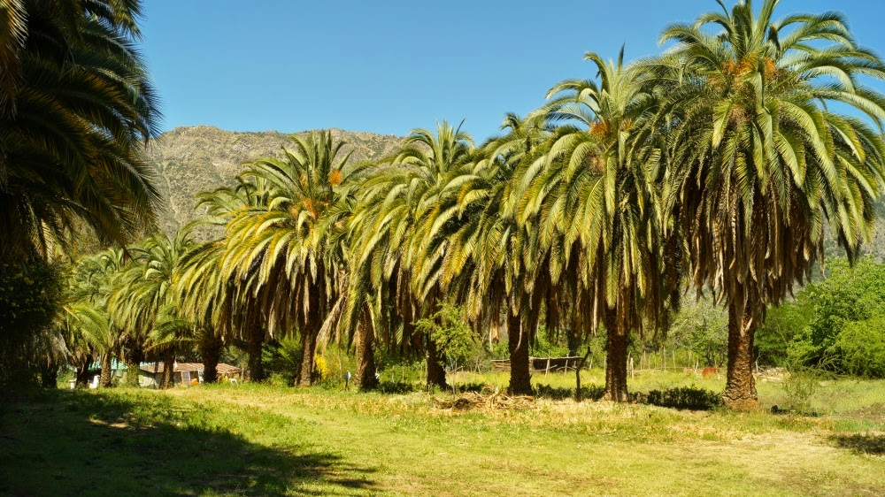 Santuario del Estero Camping en el Cajón del Maipo