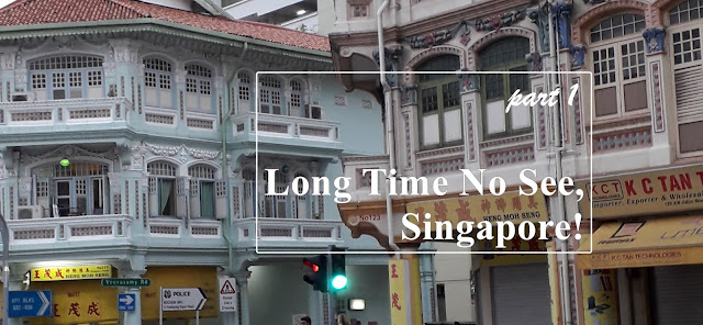 Long Time No See, Singapore! Part 1 header lovehaseyo