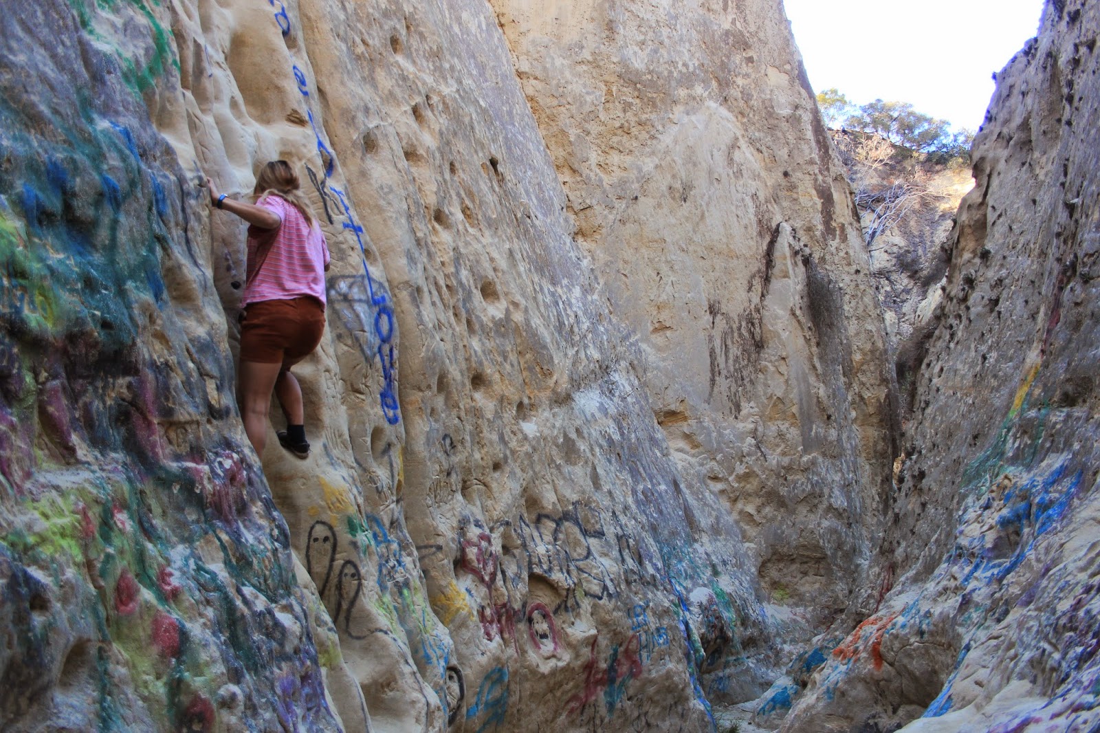 Untamed Escape Secret San Diego Mushroom Caves