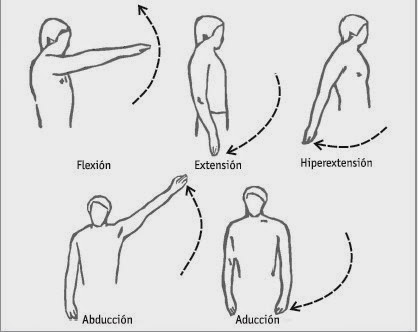 flexion de articulaciones