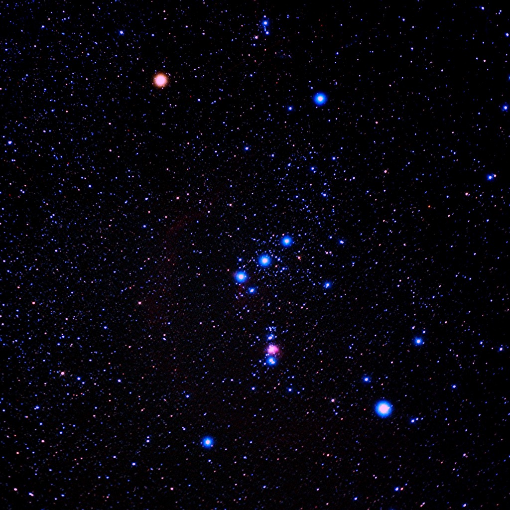 orion constellation 2011 amateur photography
