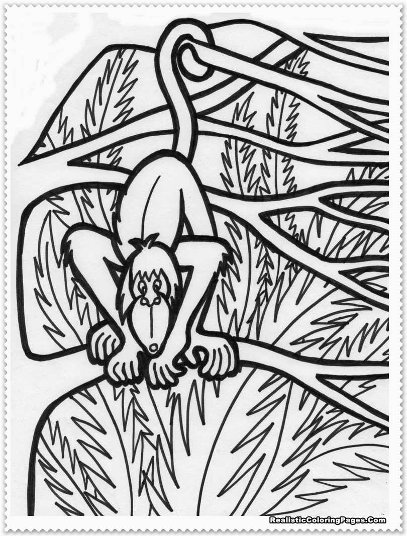 Realistic Jungle Animal Coloring Pages Realistic Coloring Pages