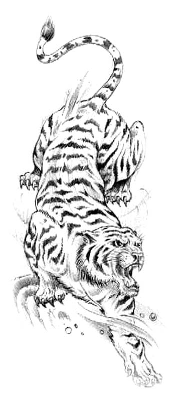 Sketch tattoos tiger and tiger head tattoos part 1 | 3D tattoos images