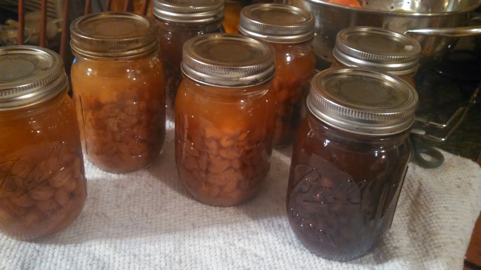 Jessica B Cooking!!!! HomeCanning Beans