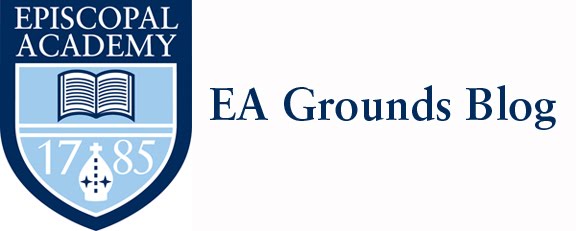 EA-Grounds
