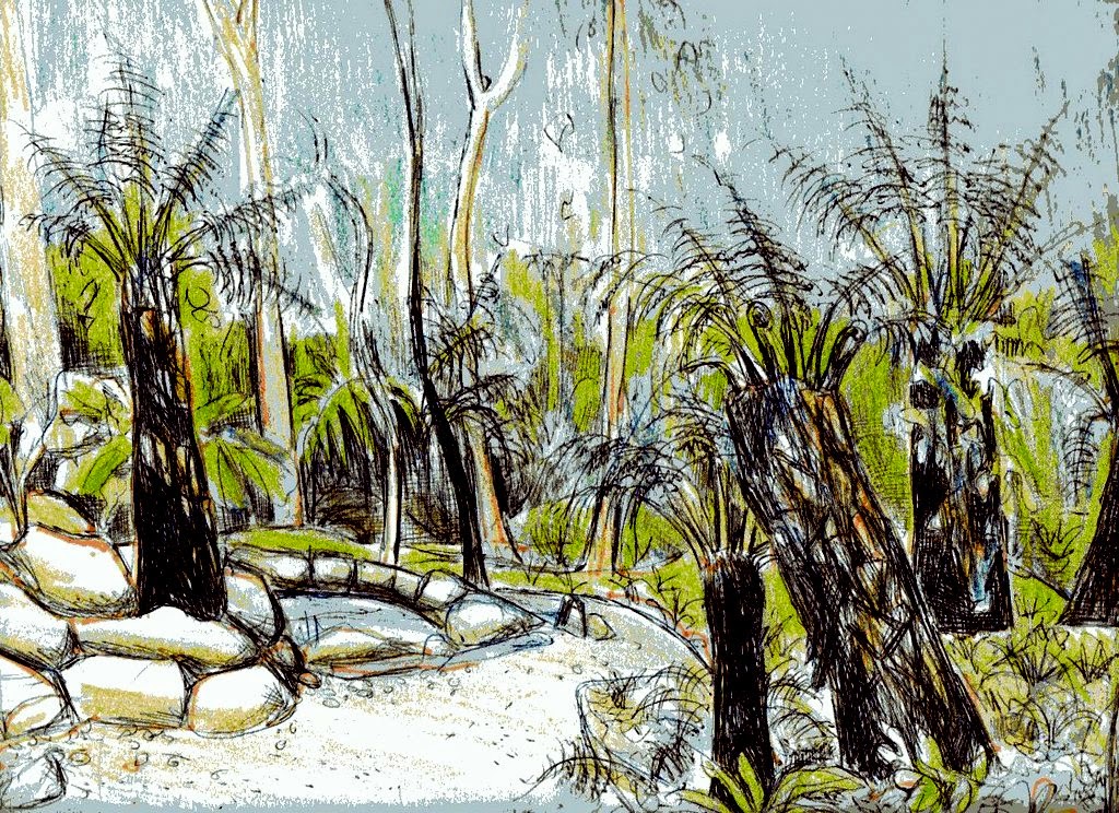 Geelong Visual Diary Ferns at the Geelong Botanical Gardens