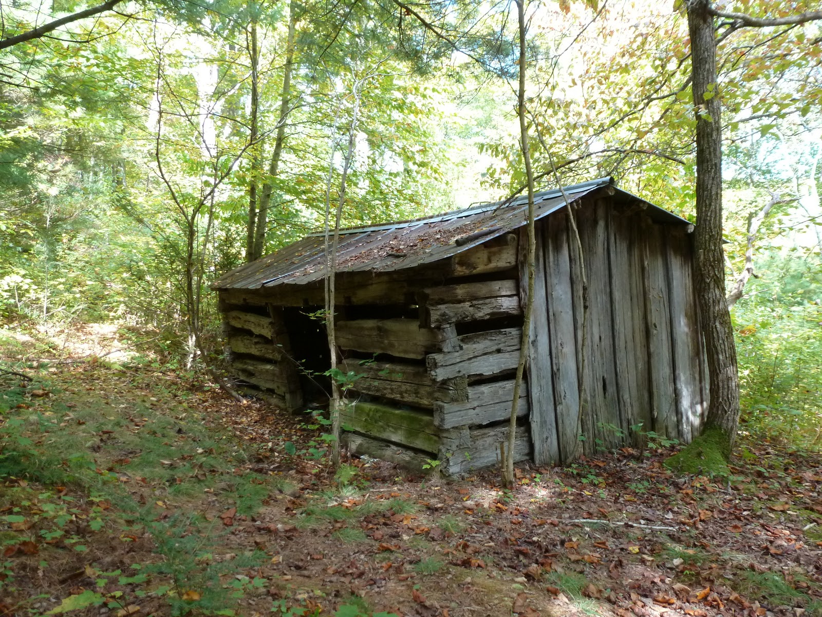 The Continuing Adventures of Eric, Noelle and Sierra Lost Cove, North