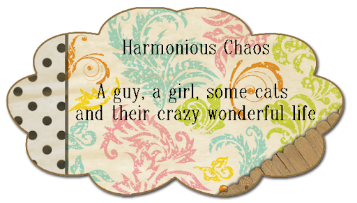 Harmonious Chaos