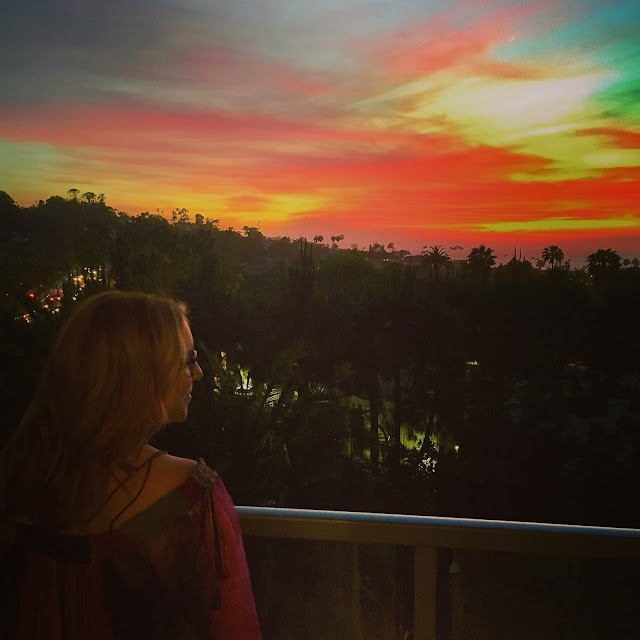 2017, 2018, reflection, Jamie Allison Sanders, sunset, San Diego