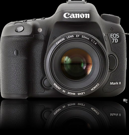 D 7. Canon eos 7d. Canon 7. 2. D 7.