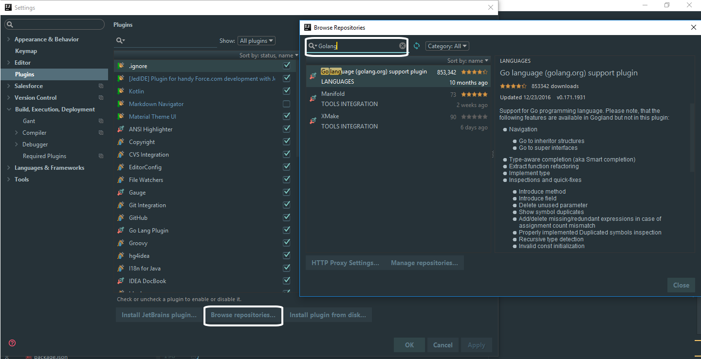 golang intellij community setup