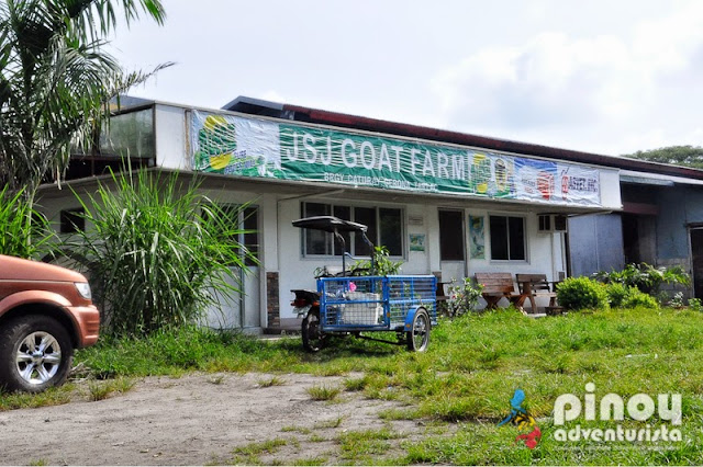 JSJ Goat Farms in Gerona Tarlac