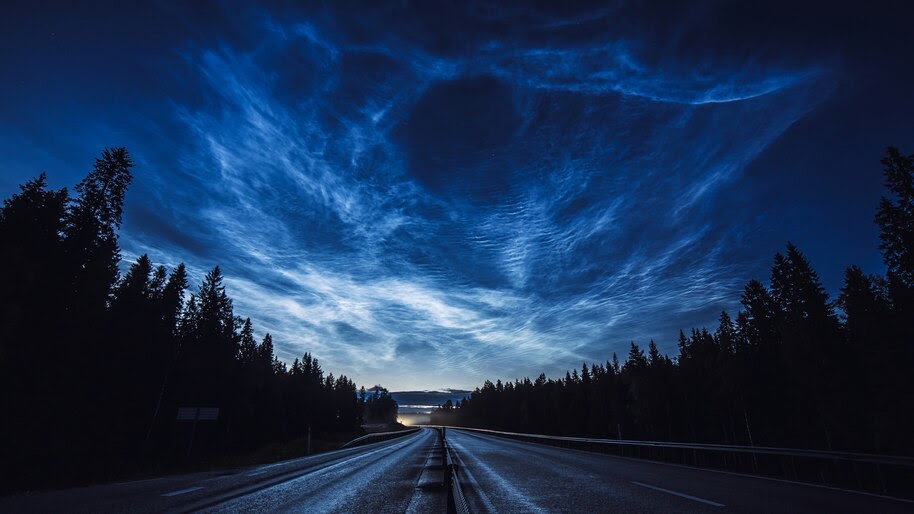 Road, Night, Sky, Forest, Scenery, 4K, #6.2203