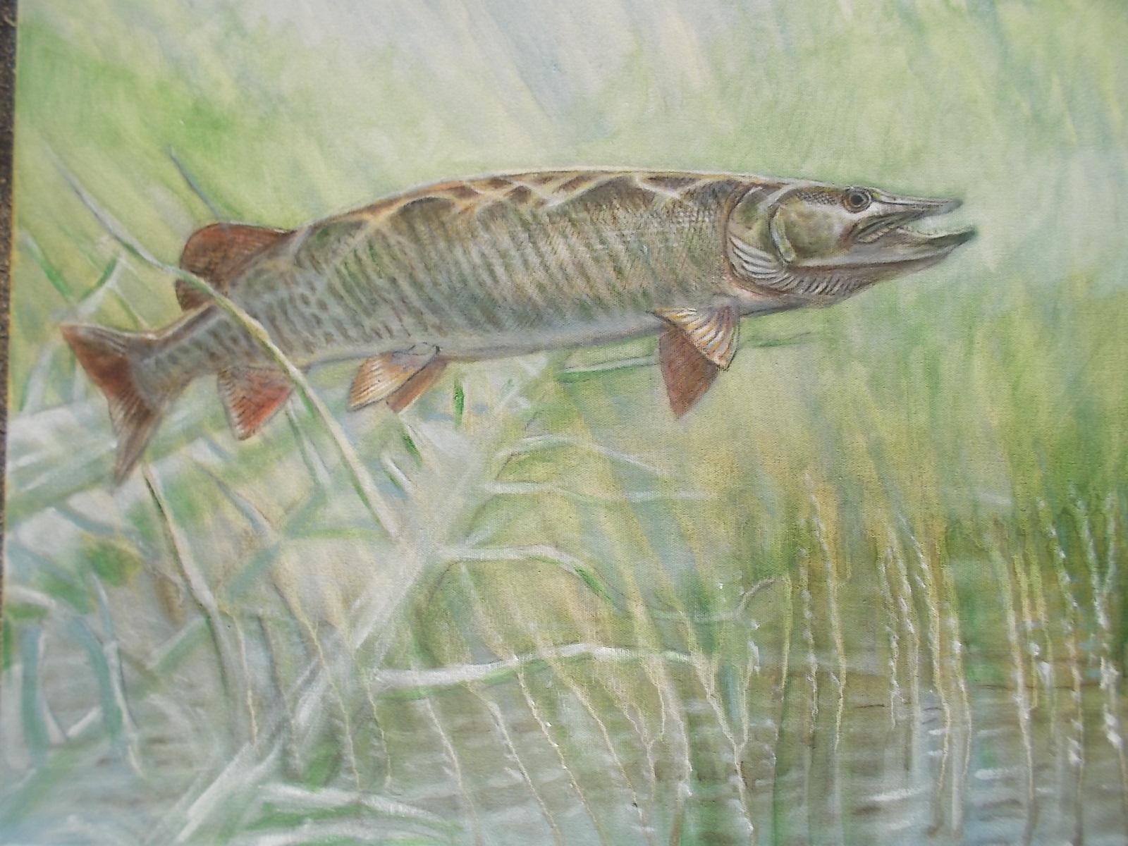 CHARLES WEISS ART: Muskie painting; Swimming through the valley