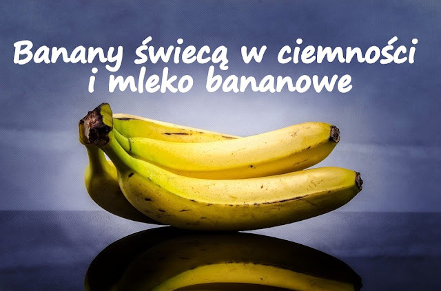 https://zielonekoktajle.blogspot.com/2018/01/banany-swieca-w-ciemnosci-i-mleko.html