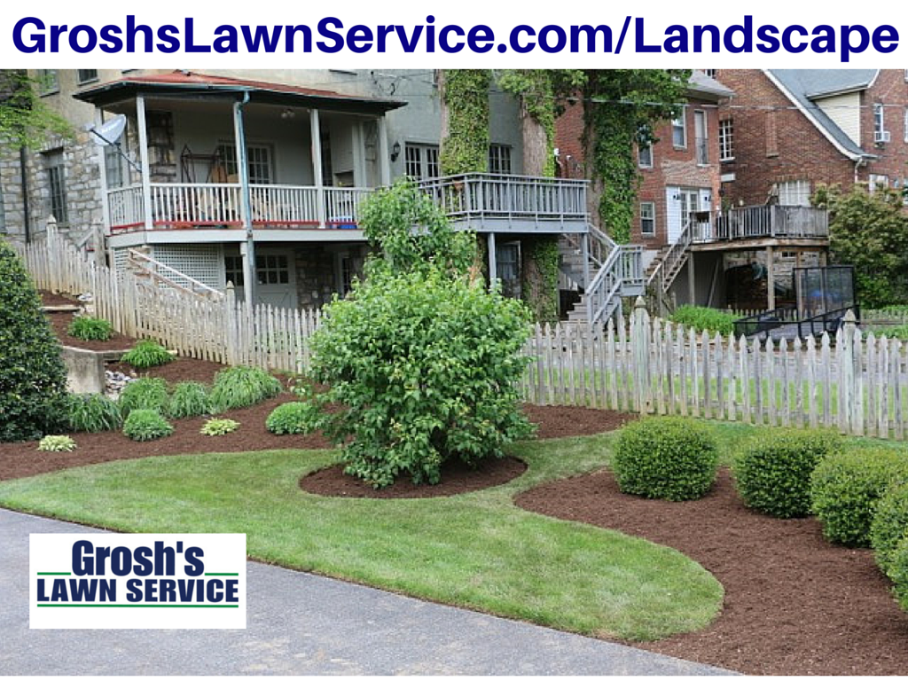 Groshs Lawn Service Shade Plants Landscape Design Boonsboro MD
