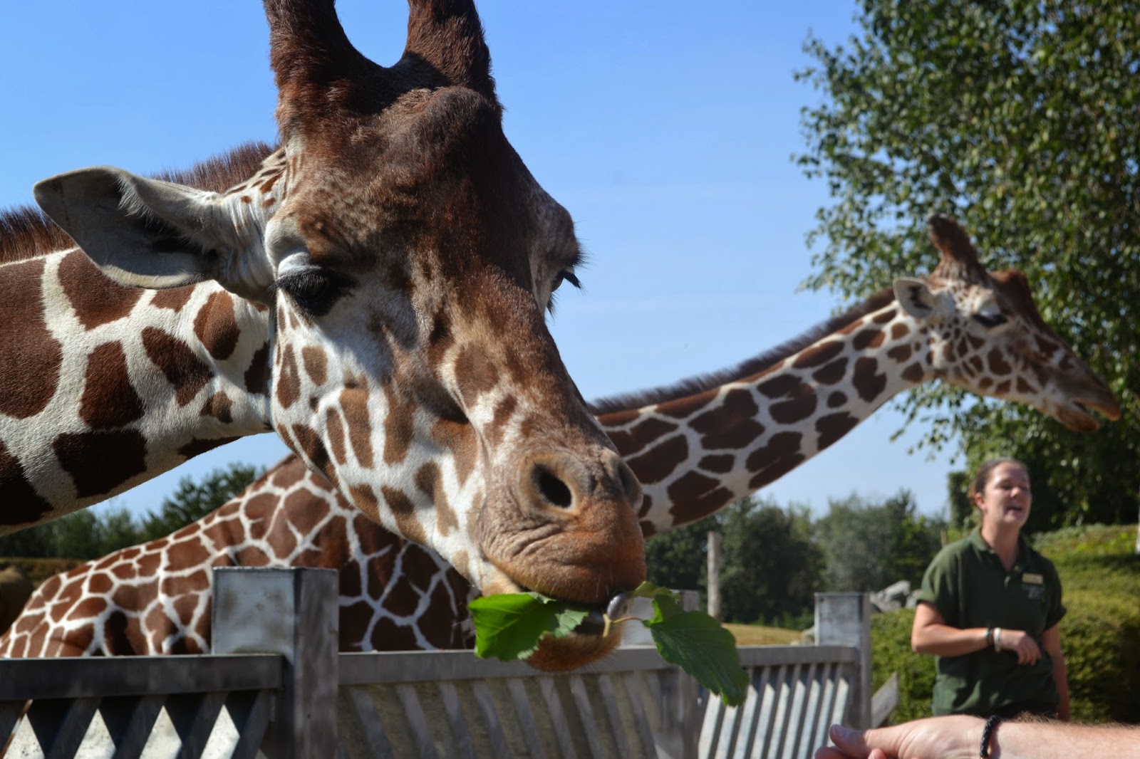 Colchester Zoo Day Out! UK Lifestyle and Beauty Blog