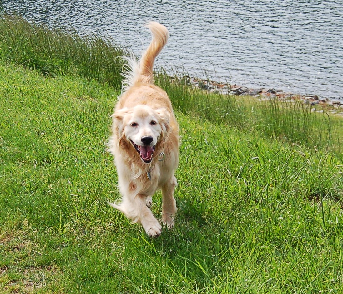 MOUNTAIN MUSINGS: May 2011