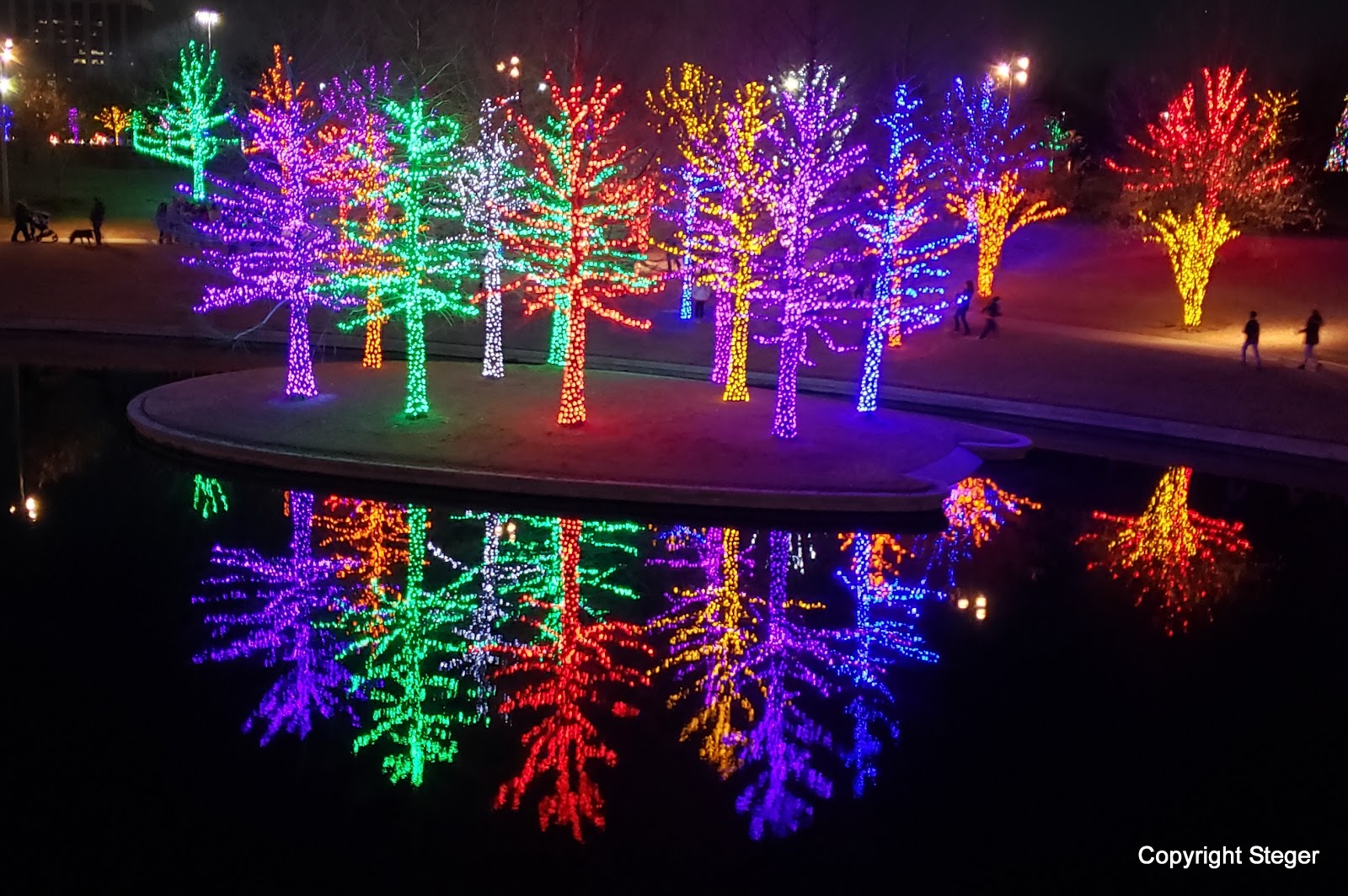The Wheel Vitruvian Lights 2019