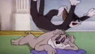 Latest tom and Jerry catoons in urdu HD episode on 8th jnuary 2015