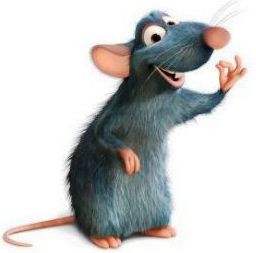 Sensores de robots con bigotes de ratas?