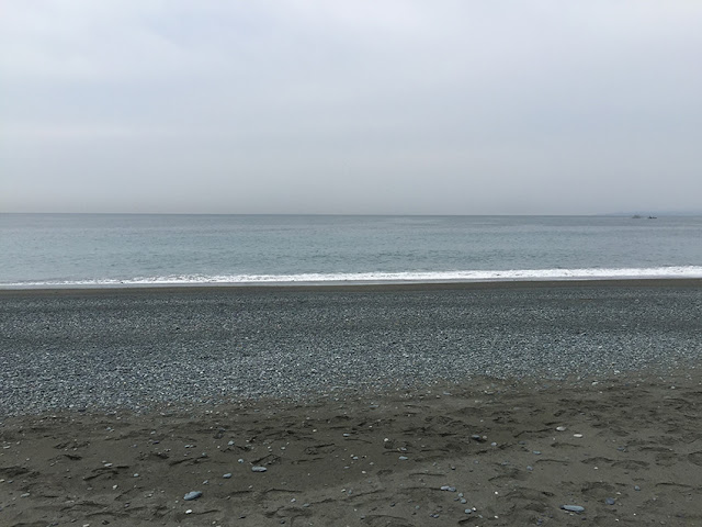 石拾い　海　神奈川県こゆるぎの浜
