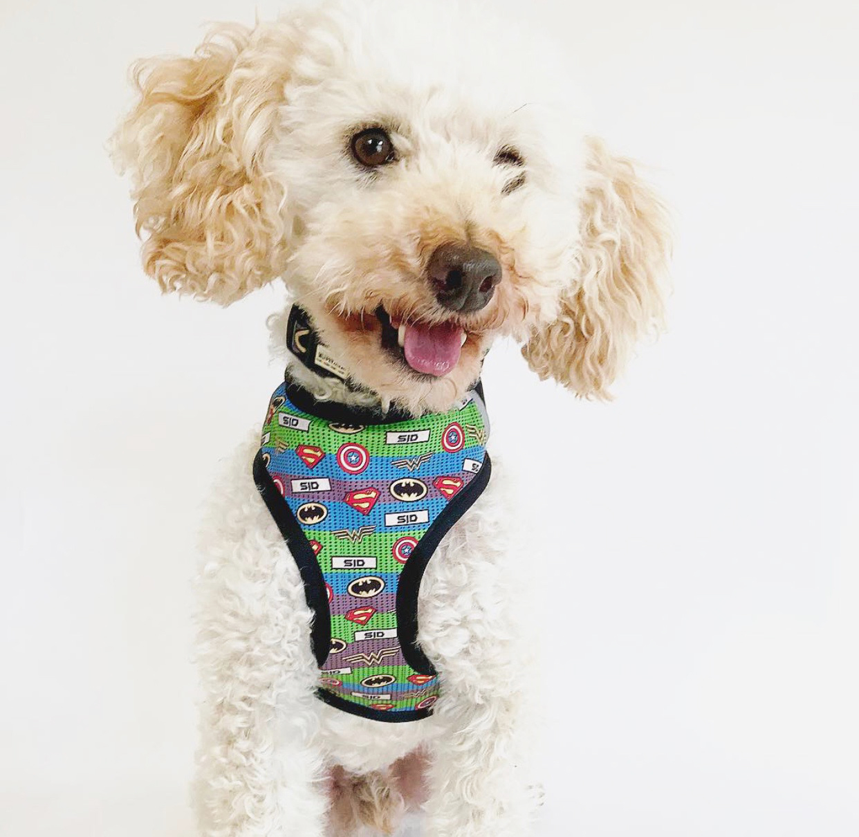 IdPet Launches Customisable Personalised Pet Harness Australian Dog Lover