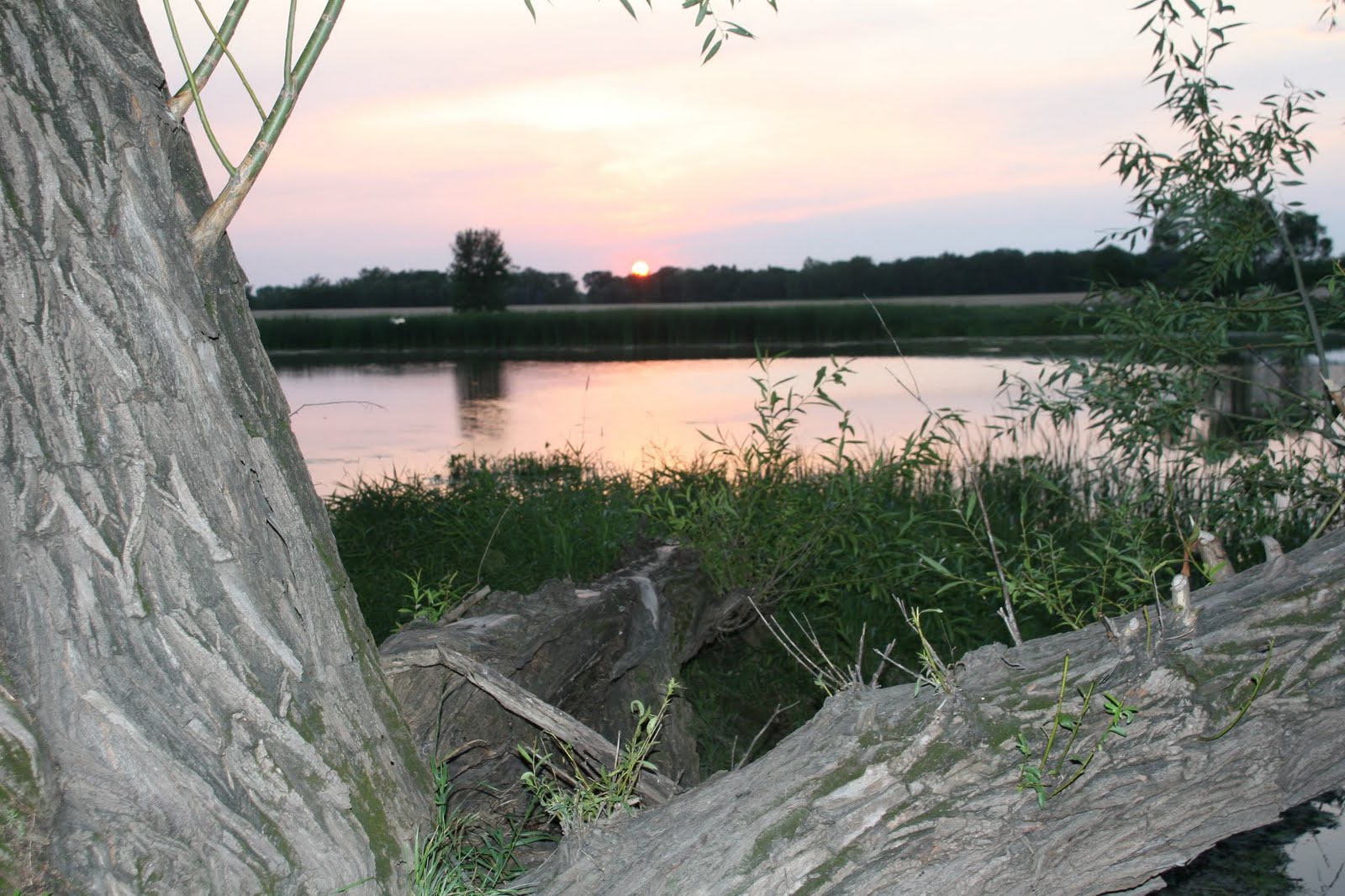 St. Vincent Memories Lake Stella Revisited